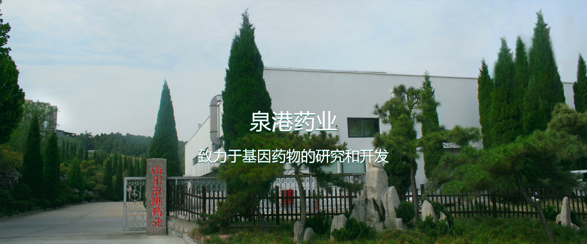 泉港藥業