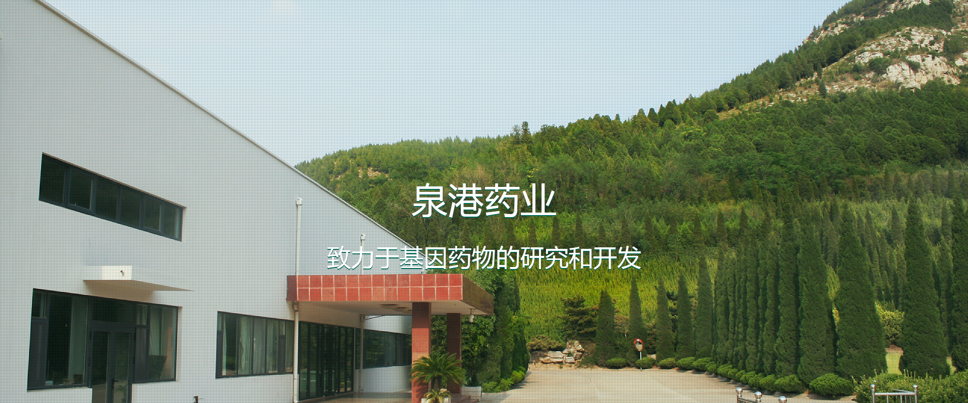 泉港藥業