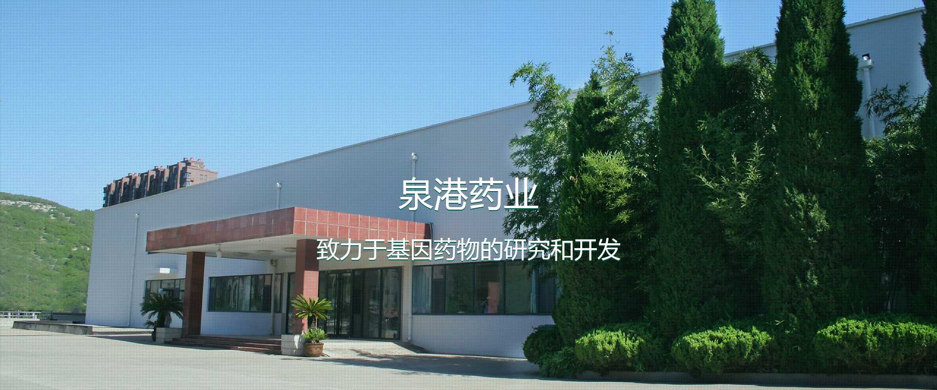 泉港藥業